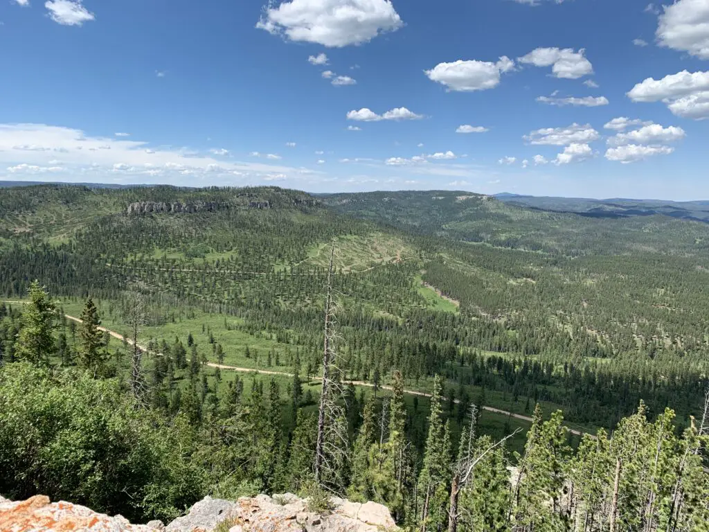 View down a mountain of tree-covered mountains in the distance. A dirt lane runs through a green valley at the bottom of the mountain.