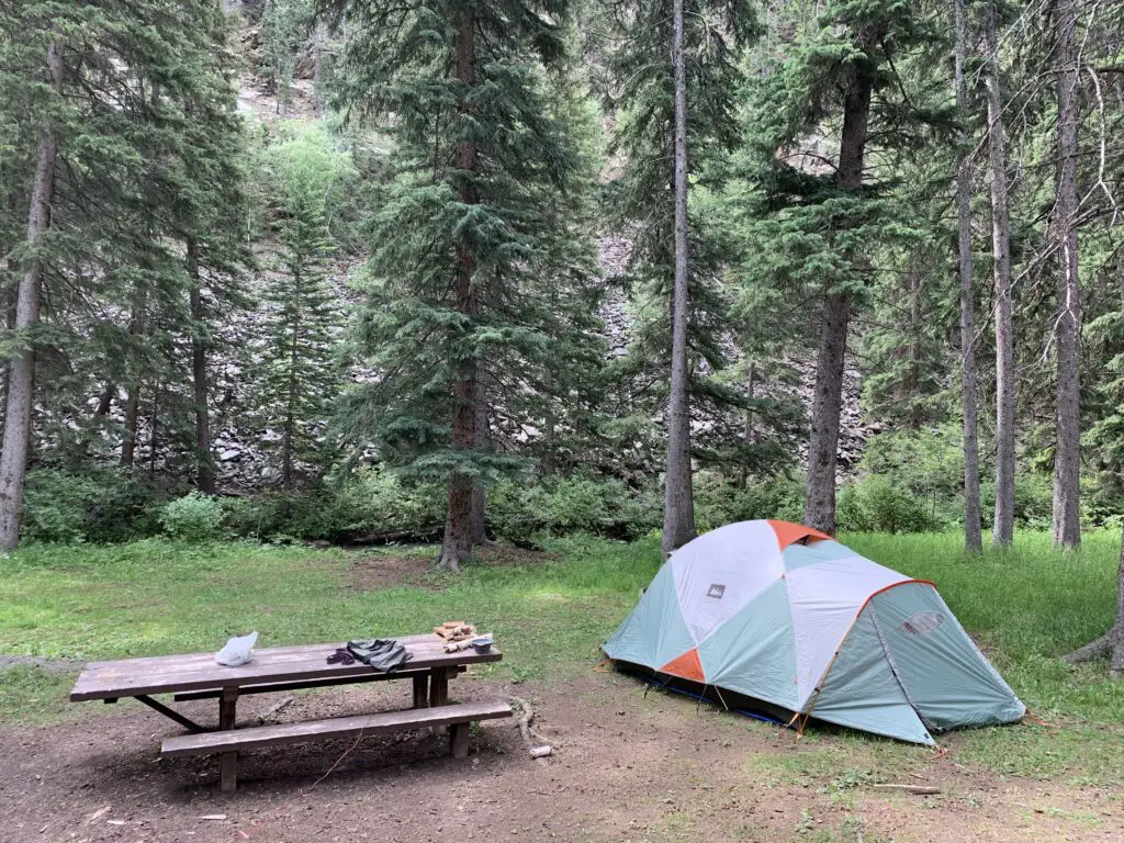 A picnic table and tent sit among tall pine trees