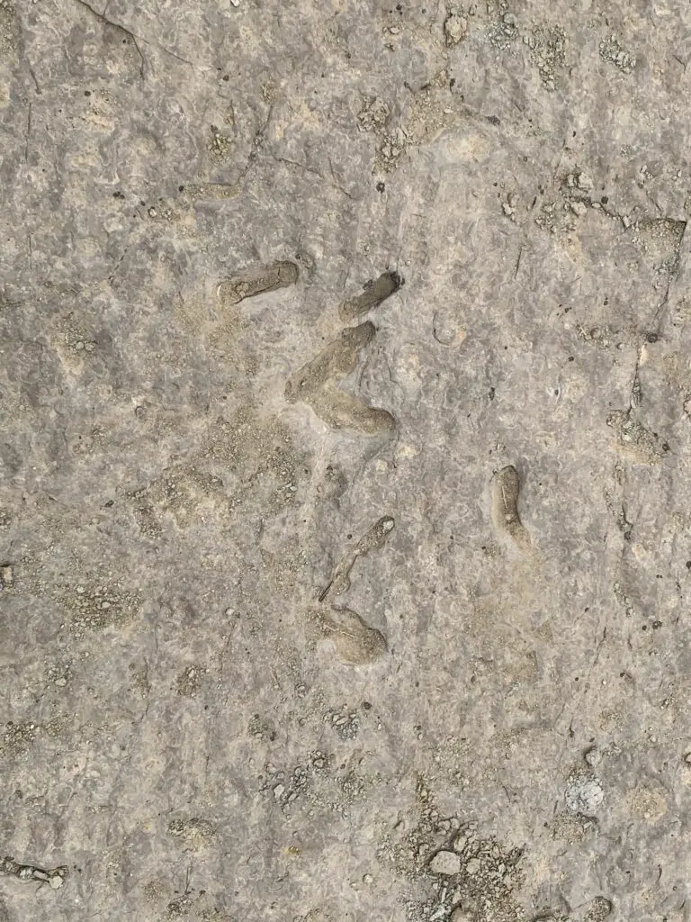 Narrow holes left in rock