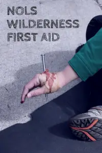 A  person sits on concrete. This hand is covered with fake blood with a simulated spike through the hand. Pin reads, "NOLS Wilderness First Aid"