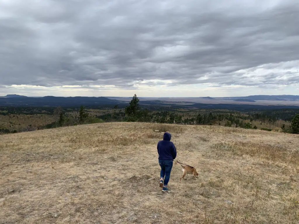 The back view of a person wearing a hoodie and a dog walking across a brown-grass meadow. Pine trees, mountains and plains stretch to the horizon beyond, all under a gray, cloudy sky.