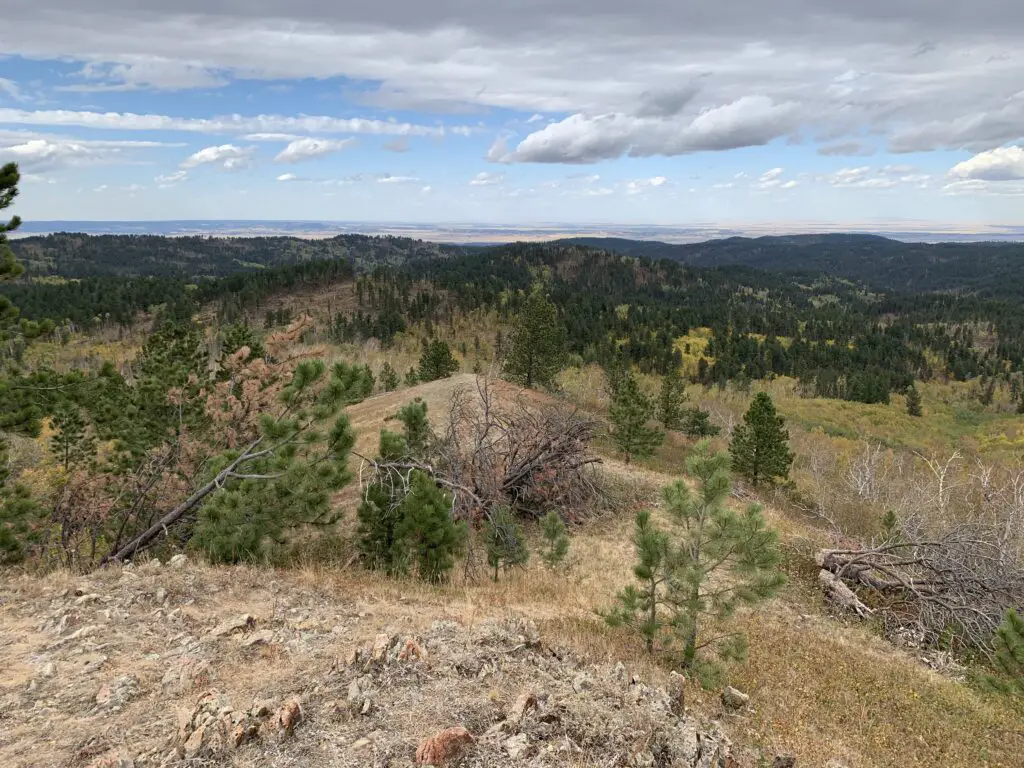 Brown grass and green, pine trees cover ridges in the foreground. A sunny plain is in the far background near the horizon.