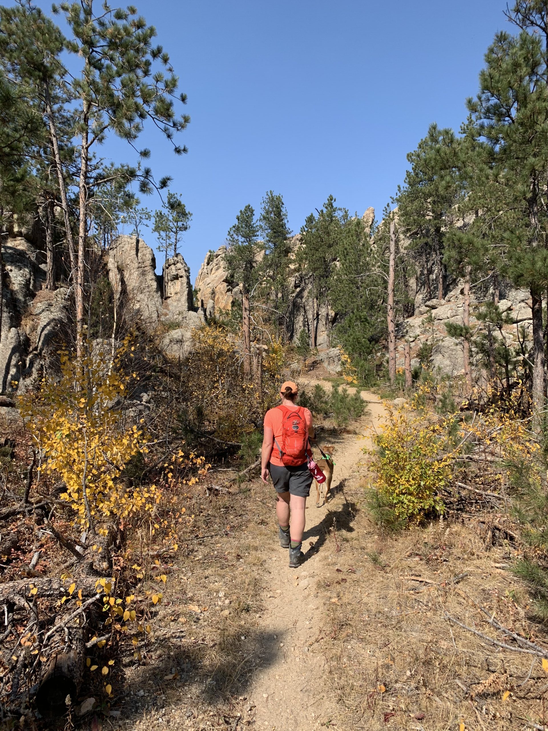Grizzly Bear Creek Trail in the Black Hills Tranquil Trekker