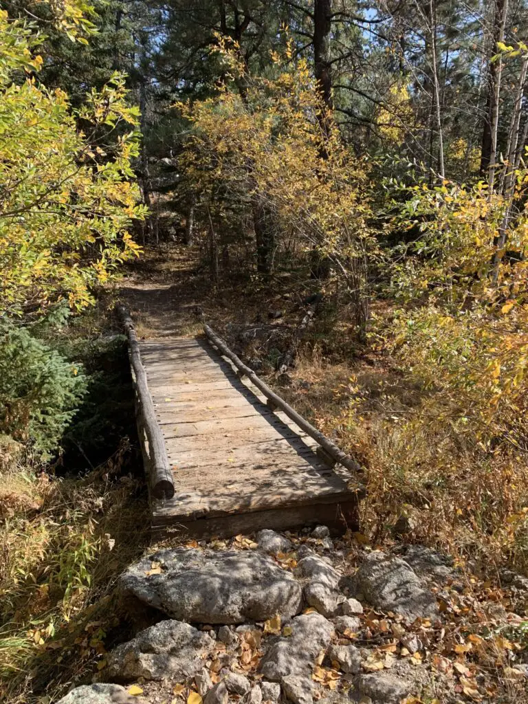 A wooden footbridge crosses a small, dry creek, surrounded by fall-colored trees and leaves in the woods. 
