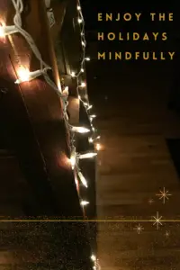 A lit string of lights hangs on a wooden bookcase. Pin reads, "enjoy the holidays mindfully"