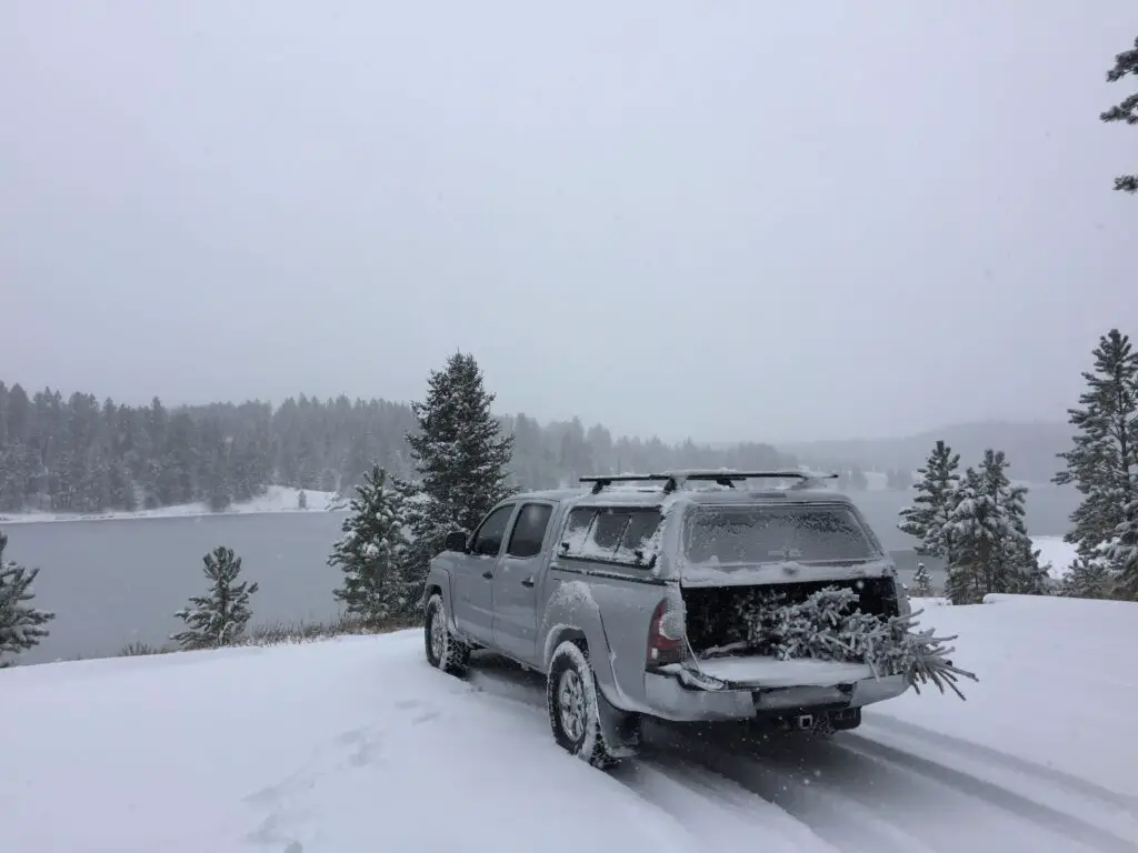 A truck with a snow-covered tree sit on a snow-covered ledge. A lake backed by a forest is in the background. The clouds are grey and it appears to be snowing. 