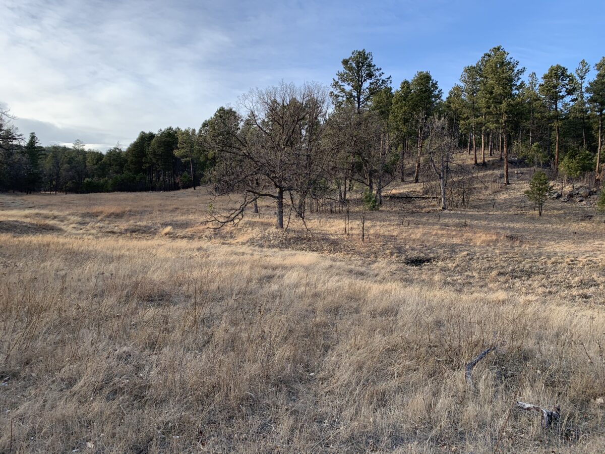 Barnes Canyon Trail in Custer State Park : Tranquil Trekker