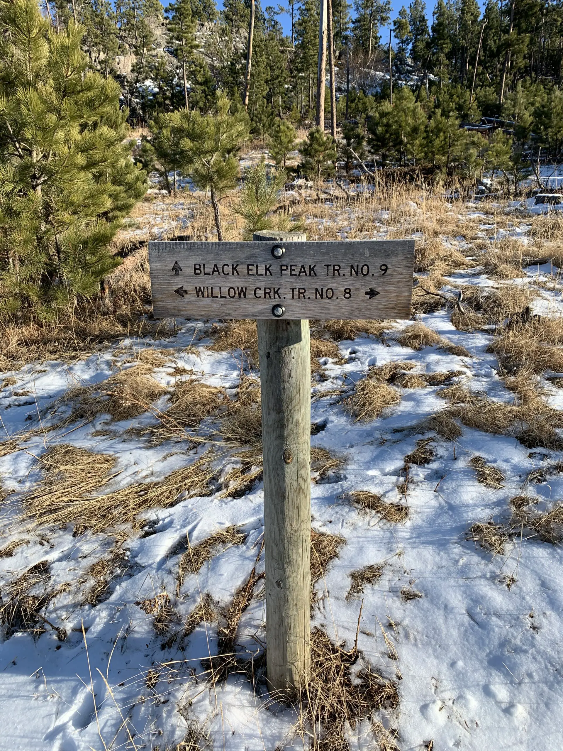 In the foreground, a trail sign that reads, "Black Elk Peak Trail #9" (arrow straight ahead), "Willow Creek Trail # 8" (arrow left and right). Hillside with sparse snow and pine trees in the background.