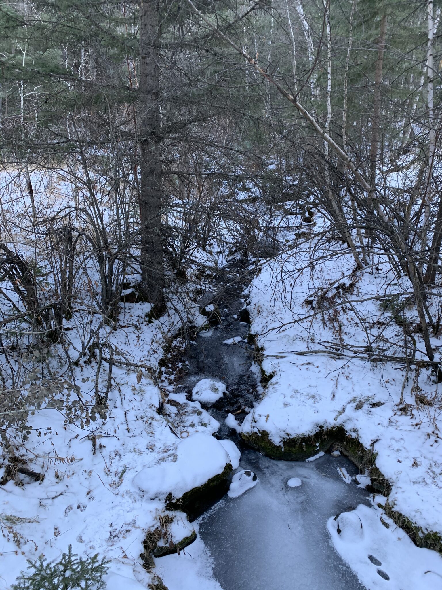 Willow Creek Trail Black Hills : Tranquil Trekker