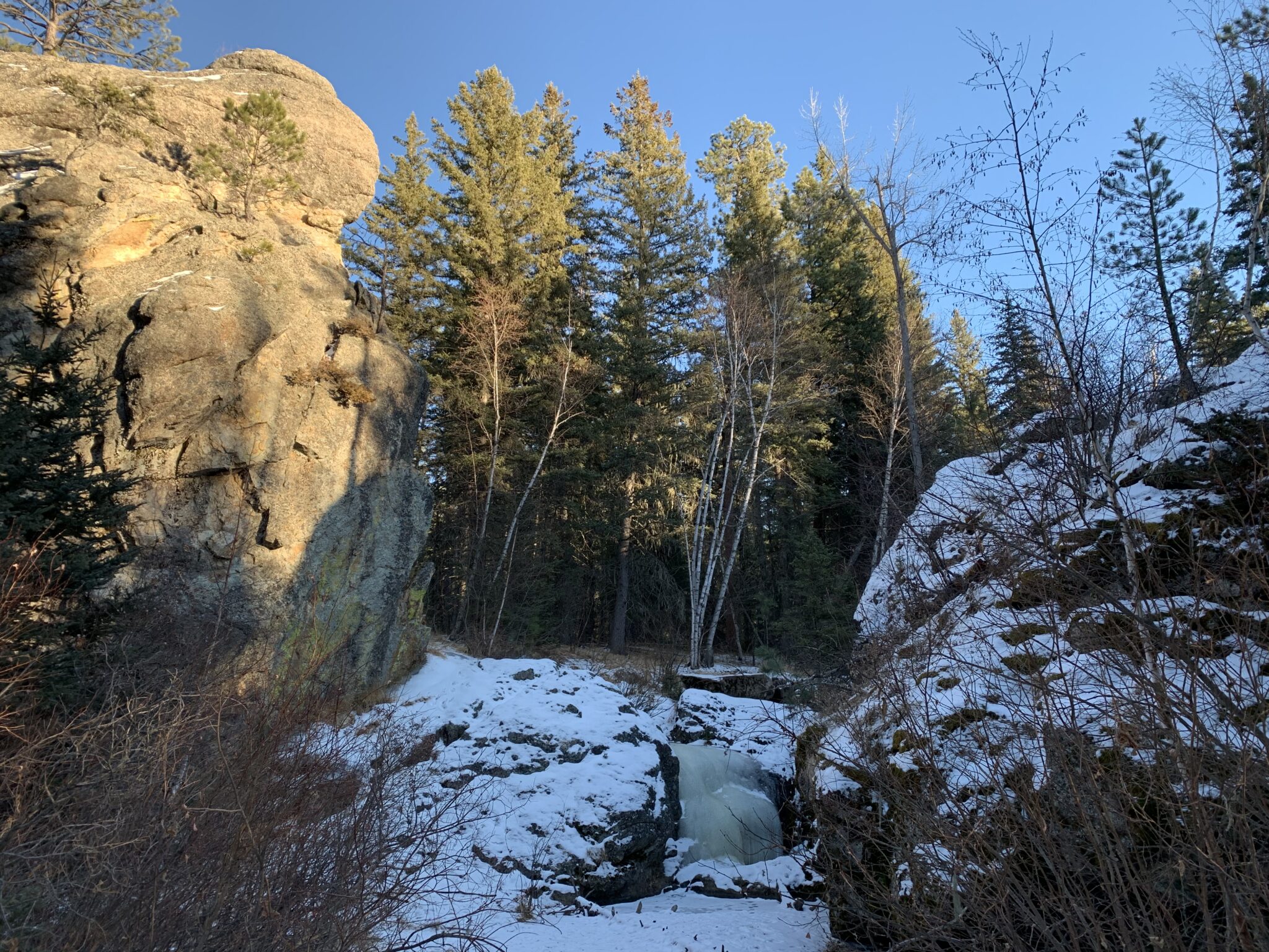 Willow Creek Trail Black Hills : Tranquil Trekker