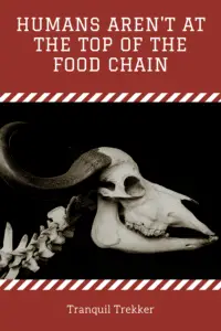Horned animal skull and vertebrae against a black background. Pin reads, Humans aren't at the top of the food chain."