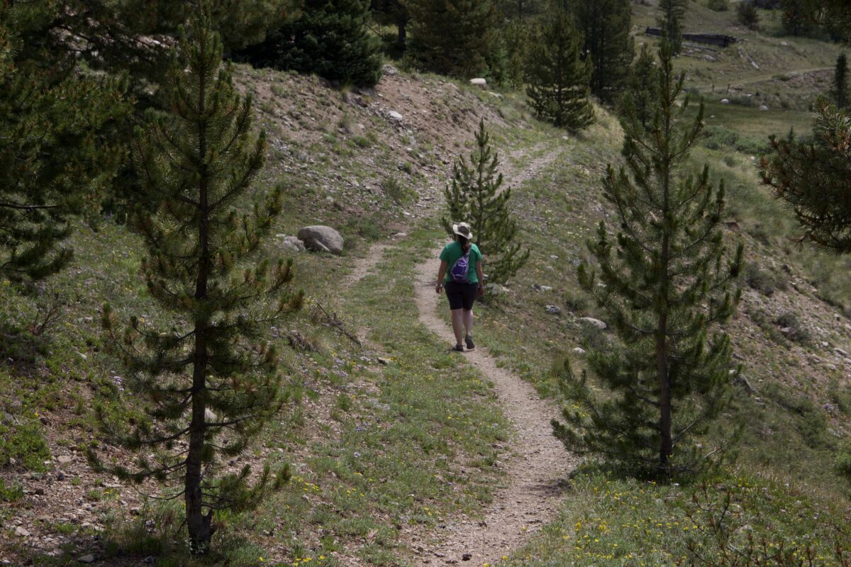 Rear view of a person walking along on a hiking trail, in a grassy area, between some trees.