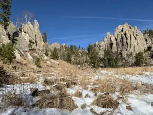 Brown grass with some snow in the foreground. Gray, pointy rock structures in the background, dotted with green, pine trees, all under a clear, blue sky.