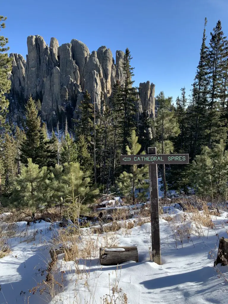 Snow in the foreground, then green, pine trees and gray, rock spires in the background. A brown sign reads, "Cathedral Spires".