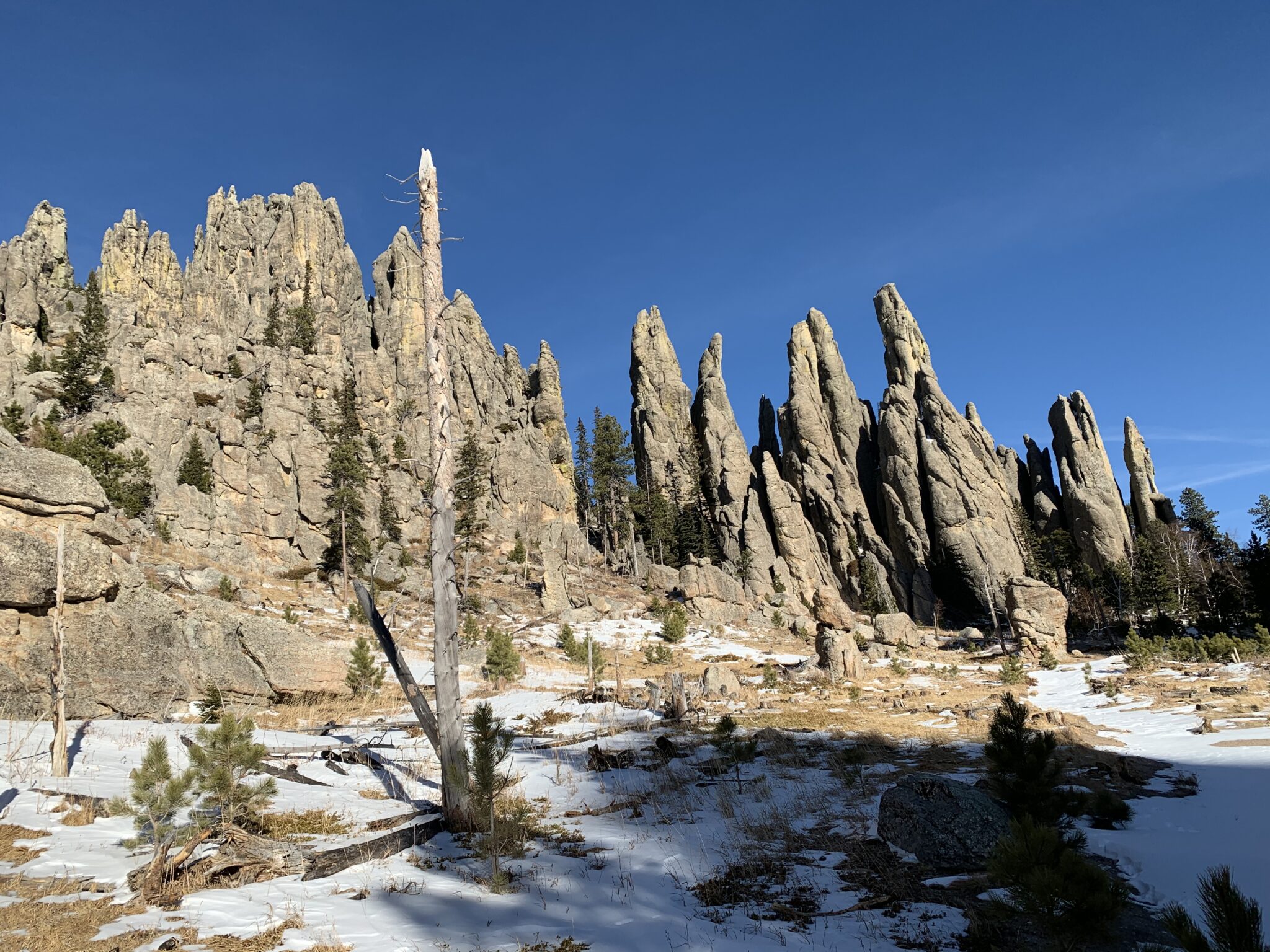 Image Little Devils Rake Little Devils Tower, Cathedral Spires and Needles Highway Loop ...