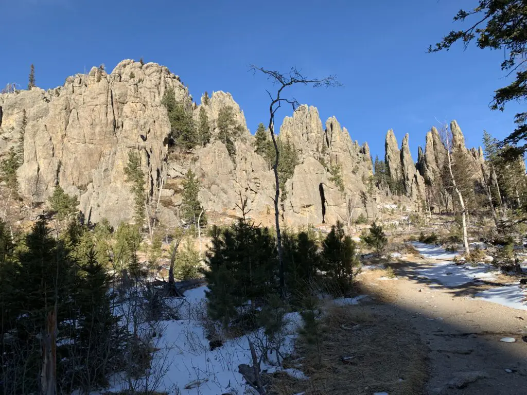 Small, green, pine trees in the snow in the foreground, along with a dirt path. In the background, gray, rocky spires reach to the clear, blue sky.