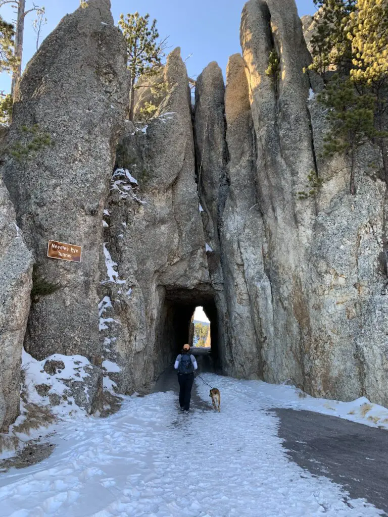 Rear view of a woman and dog walking on a snow-covered path through a tunnel of pointy rocks. A sign on the rocks reads, "Needles Eye Tunnel".