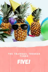 4 pineapples (one wearing sunglasses) are surrounded by balloons and party hats! Pin reads, "The Tranquil Trekker turns FIVE!"