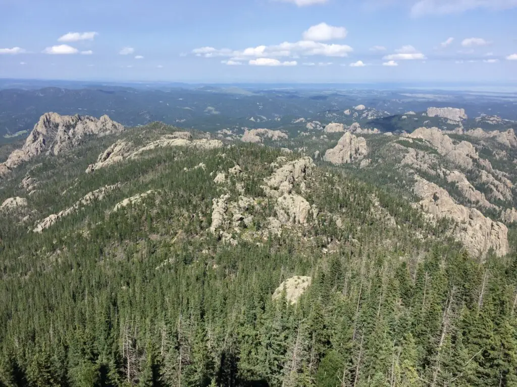 View from above overlooking an expanse of grey, rocky mountains covered in green pine trees. Lower mountains covered in trees and plains stretch to the horizon, all under a blue sky with puffy, white clouds.