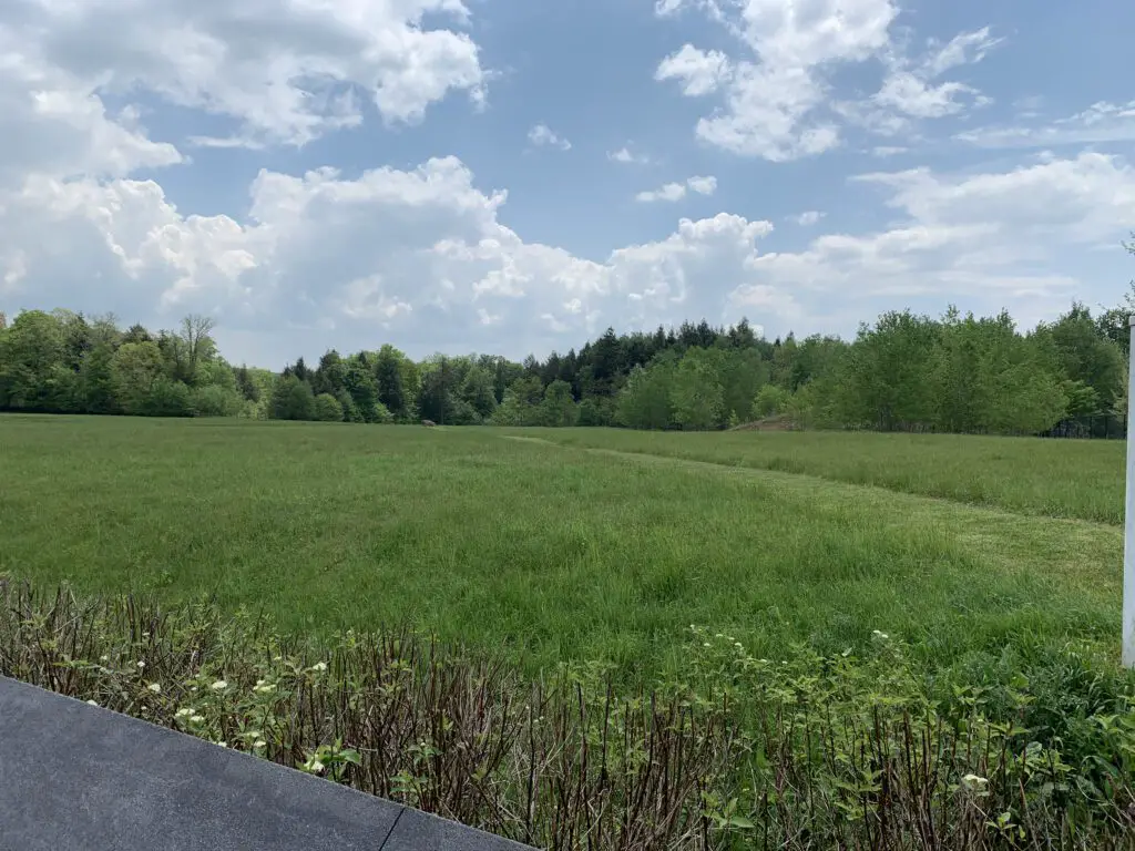 A green meadow with trees in the background. A line is mowed into a portion of the grass