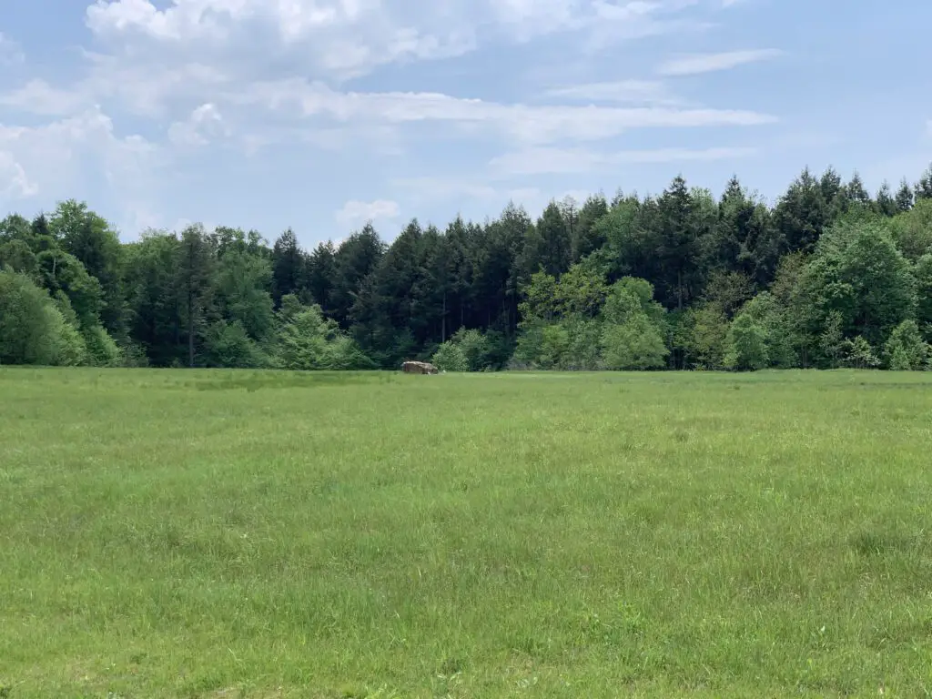 A green field with a large boulder at the rear and trees behind