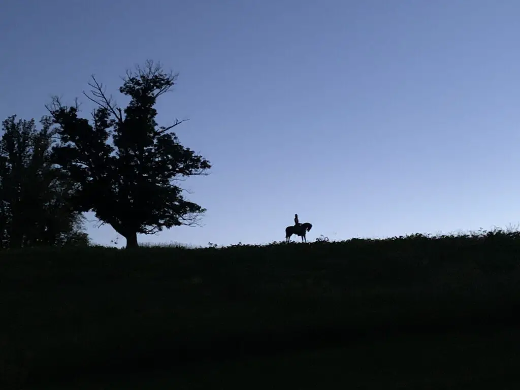 Gathering darkness with dark silhouettes of a tree and a hill. A statue of a man on a horse is at the top of the hill. 