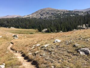 A hiking trail meanders through a dry, grassy meadow. Pine trees are in the background with a rocky mountain towering over everything far behind.