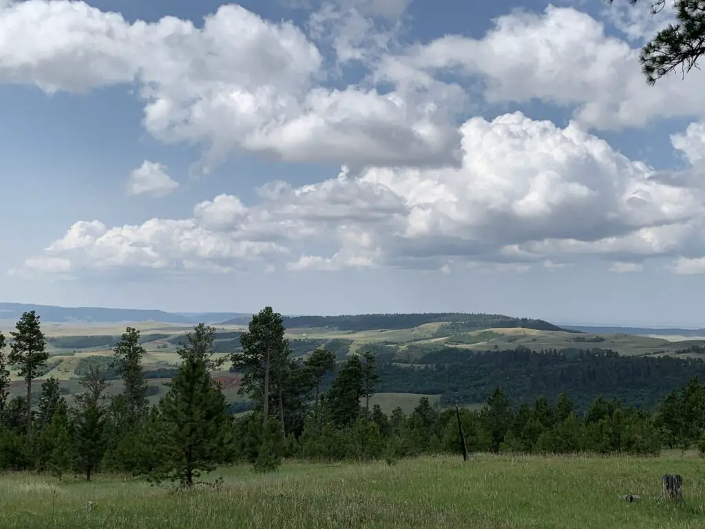 View from a lookout point over pine trees and a grassy meadow with green grass and tree-covered hills rising in the background, all under a blue sky and puffy clouds.
