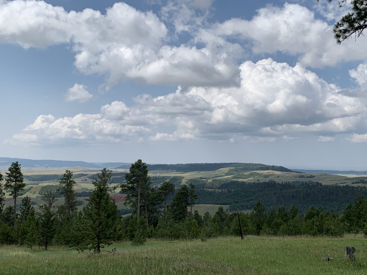 Wyoming's Bear Lodge Mountains : Tranquil Trekker