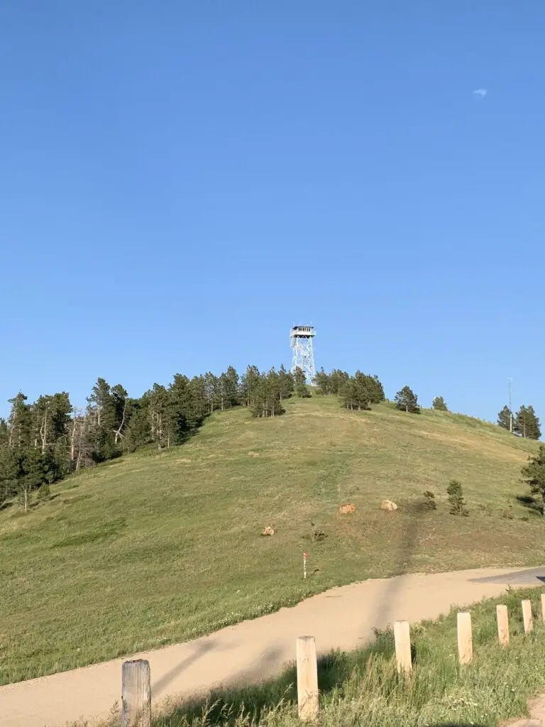 View from a dirt road, looking up to a fire tower, sitting atop a grassy, tree-covered hill all under a clear, blue sky. 