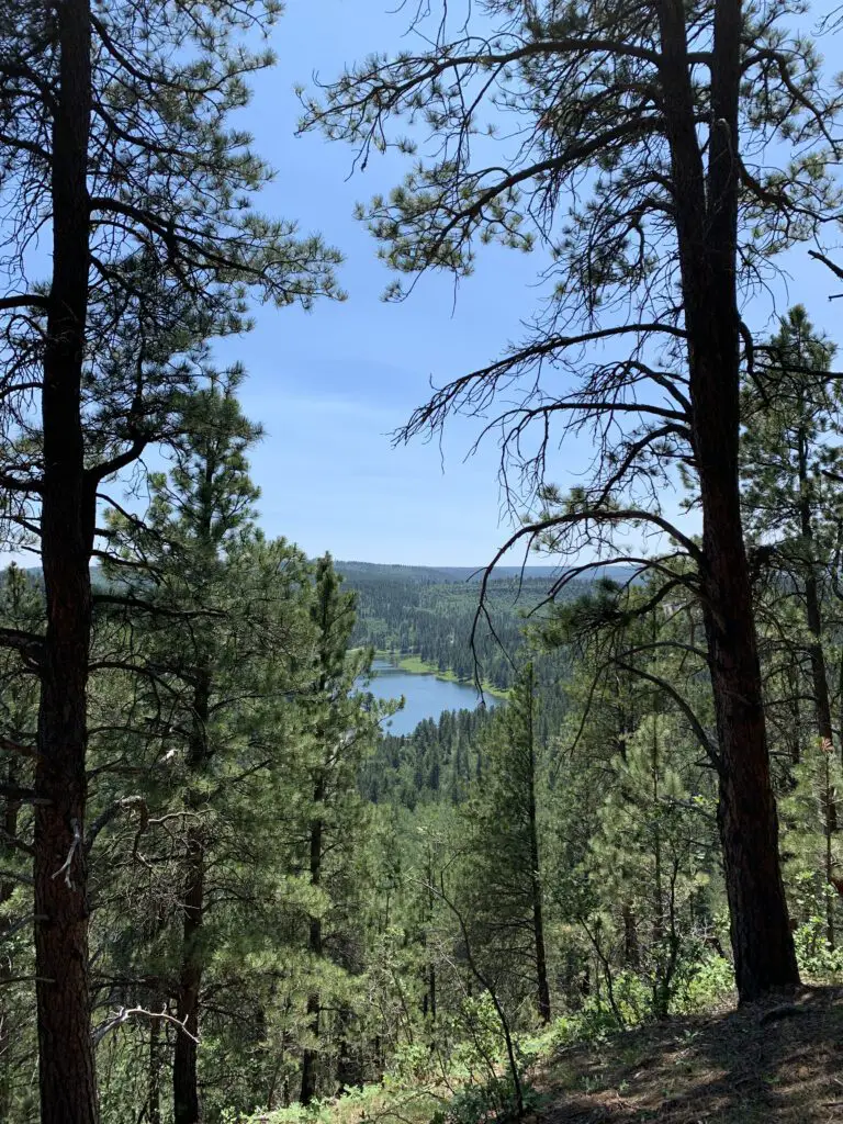 View down a tree-covered hill to a long, blue lake, surrounded by more trees, in the distance. 