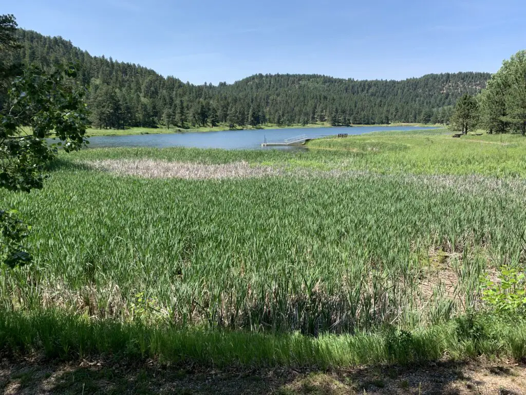 Green cattails lead to a small lake, surrounded by tree-covered hills. 