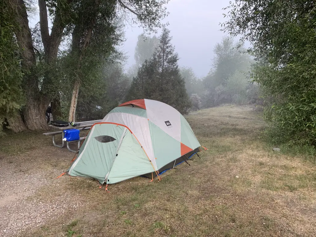 Foggy campsite surrounded by trees, tent in middle.