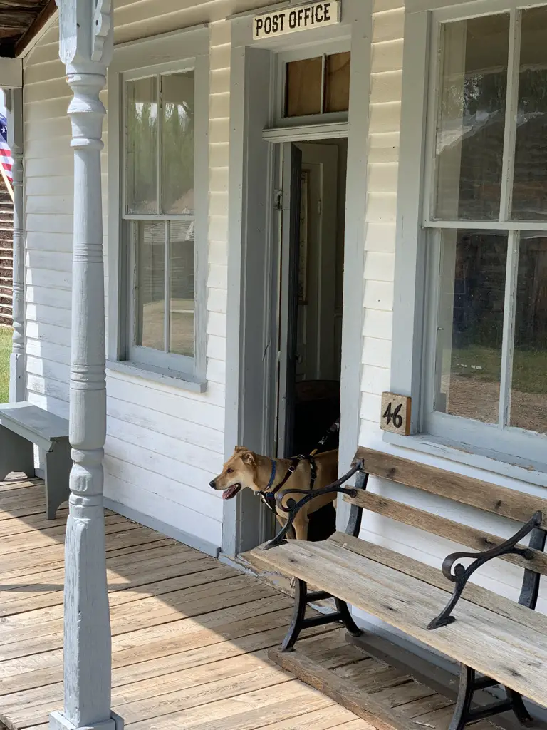 Front porch of old Post Office, dog walking through front door.