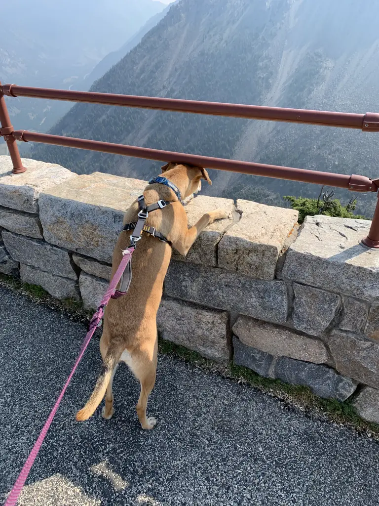 Overlook of a mountain pass. A stone wall and metal railing in the foreground, mountain vista in the background.