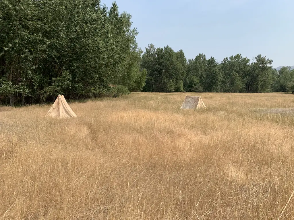Two small, canvas tents sit in a golden, grassy meadow