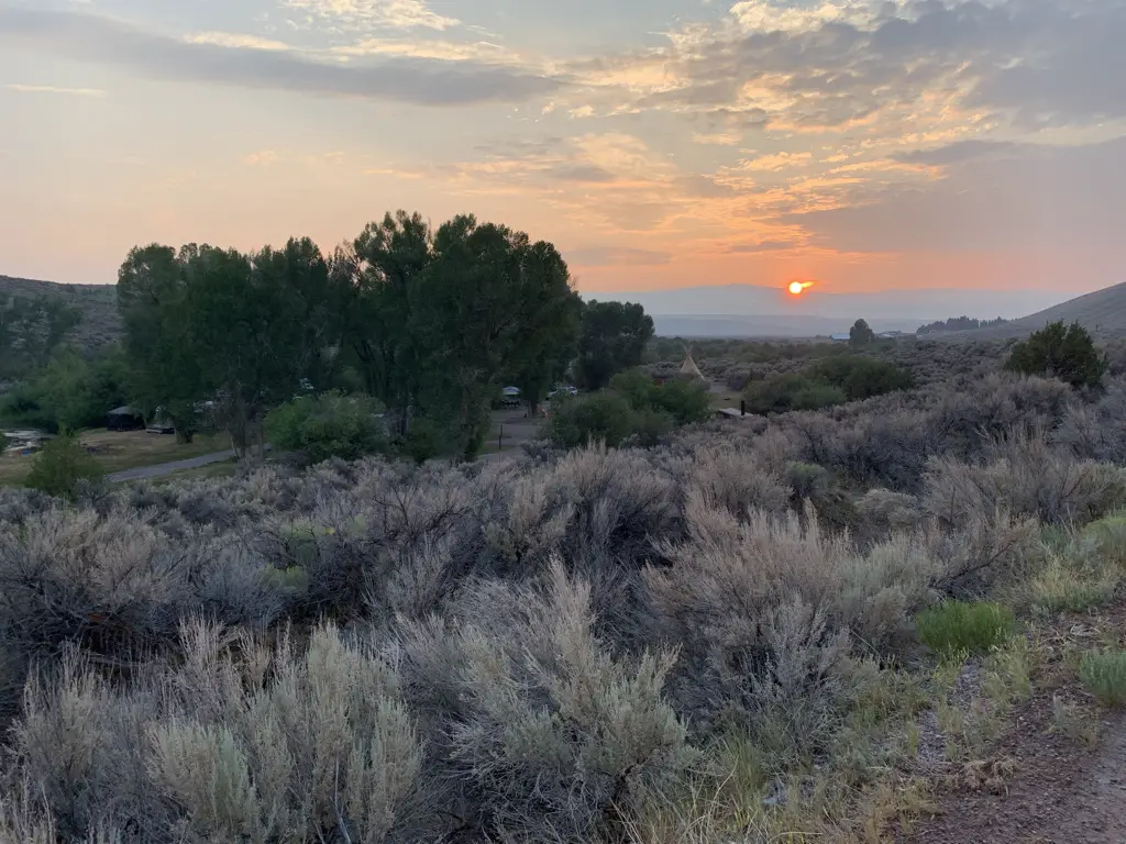 Smoky sunset over scrub-brush covered pastureland.