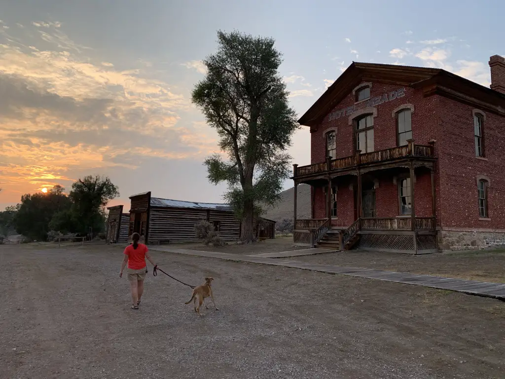 Woman and dog walking away from camera on dirt street of ghost town, sun setting into the clouds in background.
