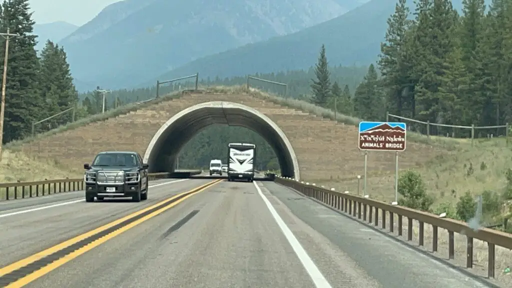 Grassy bridge overpass. Also a road sign written in English and the Salish language.