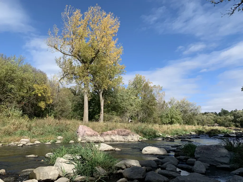 Shallow creek with rocks back by trees, blue sky with clouds