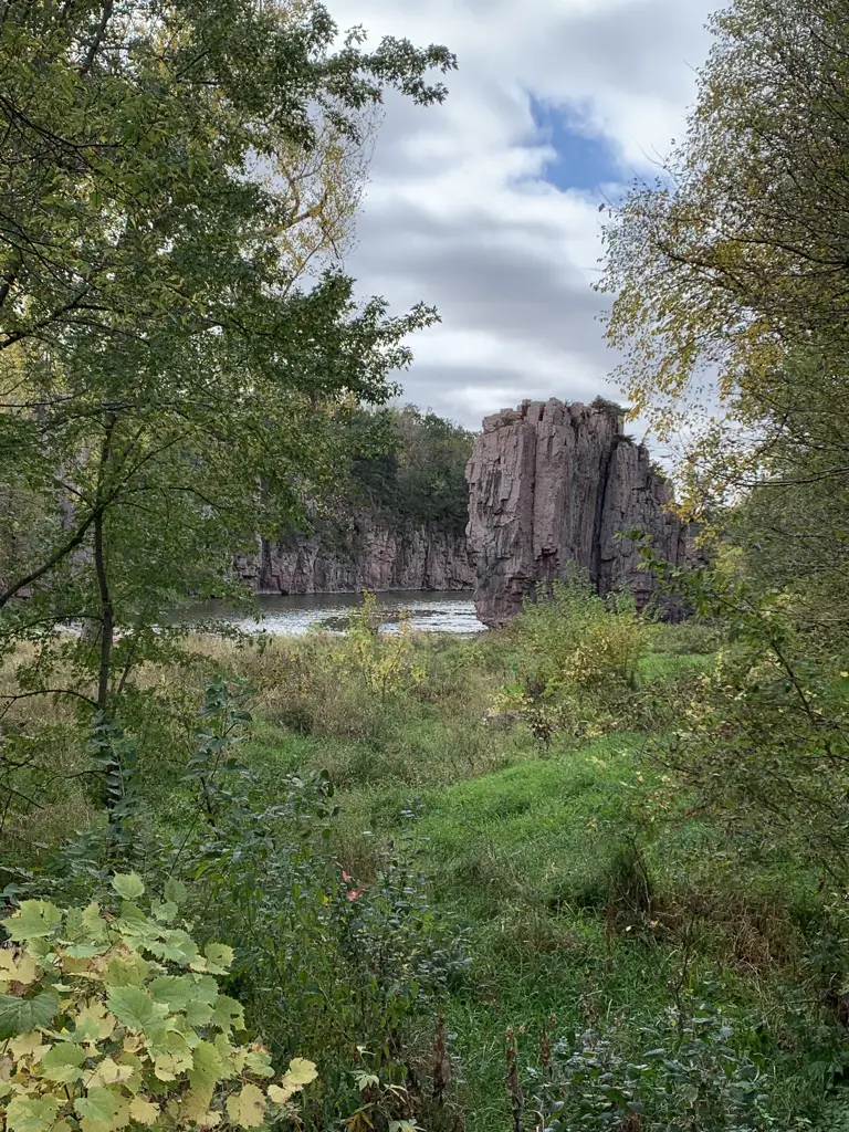 View through vegetation. Rock walls with creek running through them in background.