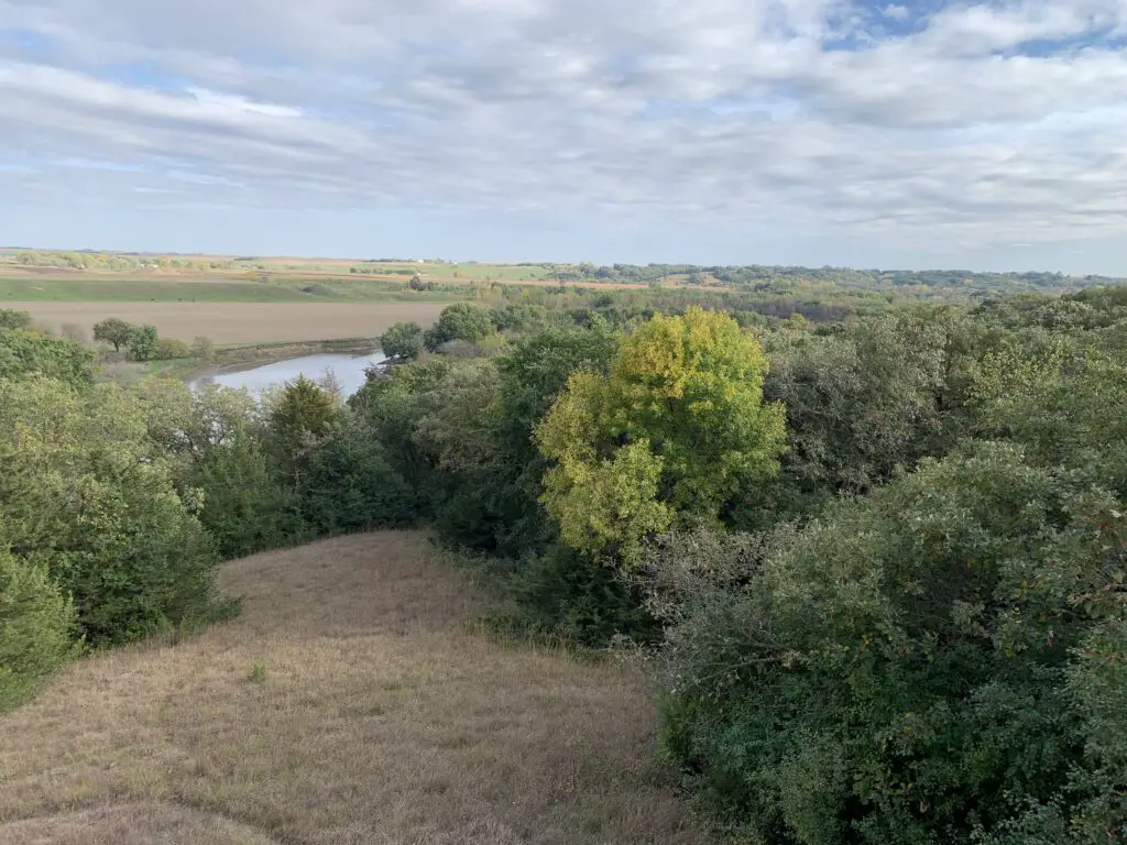 Grass and trees in foreground, creek and farmland behind these in background.