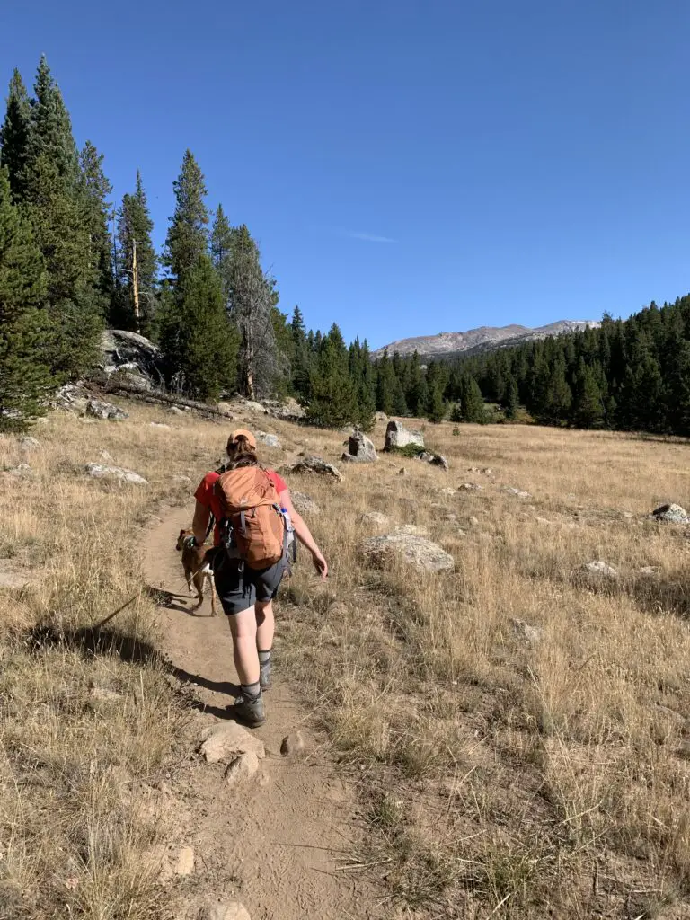 (As viewed from the back.) A woman and dog ascend a hiking trail through a grassy field. Trees and a rocky mountain can be seen in the background