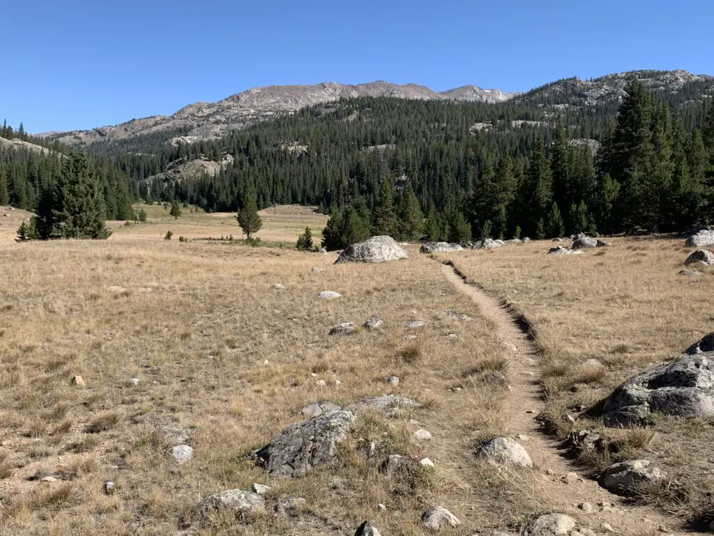 Hiking trail crossing a grassy meadow leads to trees with a rocky mountain behind