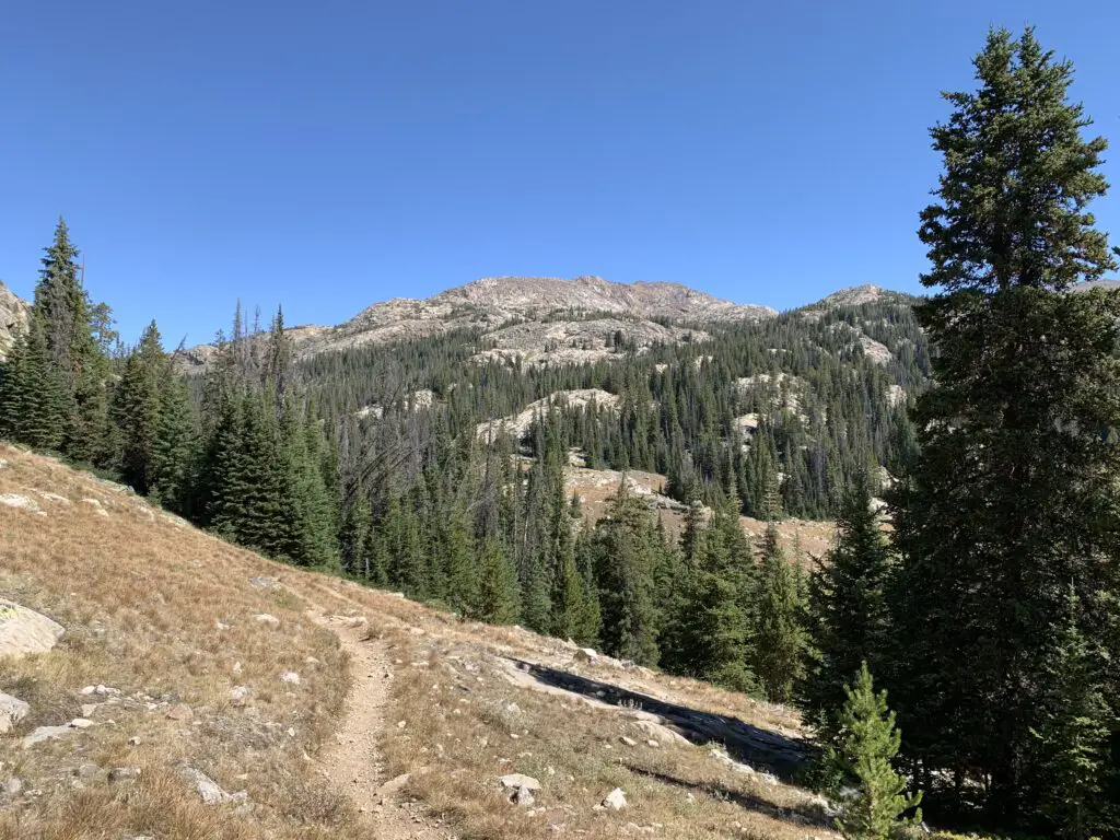 Hiking trail crossing a grassy meadow leads to trees with a rocky mountain behind