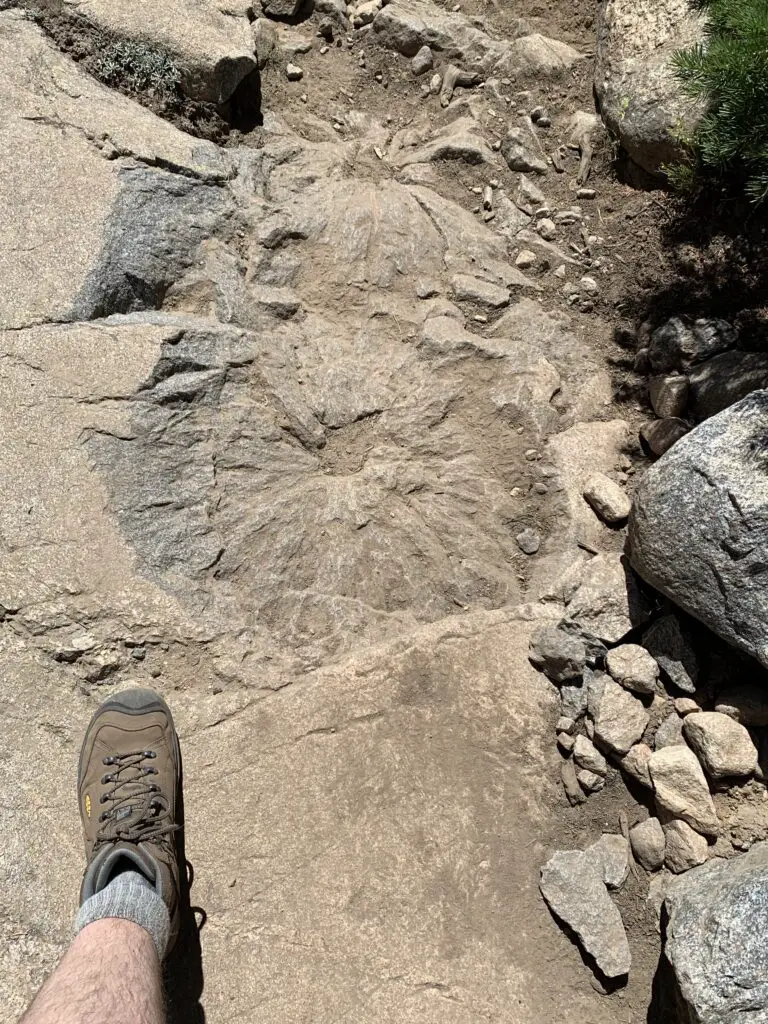 Circular, rough indentation in the rock