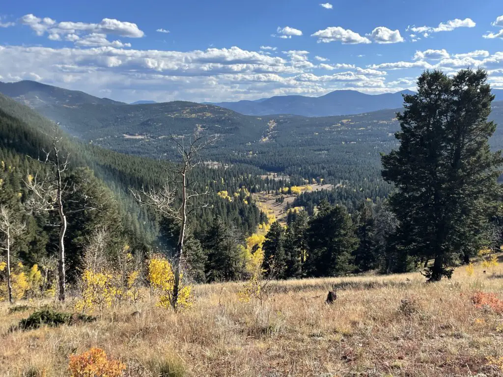 View down a grass covered hill into a valley of pine trees with yellow-leafed trees running through it. Green, tree-covered mountains rise around the valley with taller mountains in the background. 