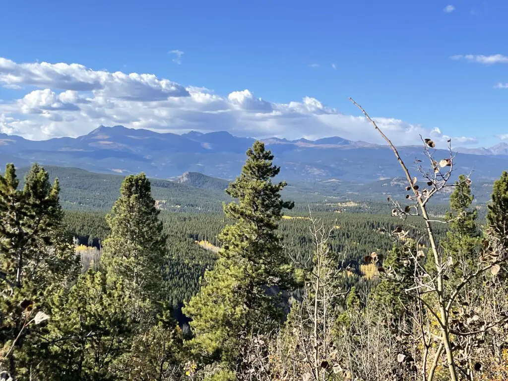 Green pine trees and leafless brances in the foreground Tree covered hills behine lead to tall, tree-covered and rocky mountains in the background