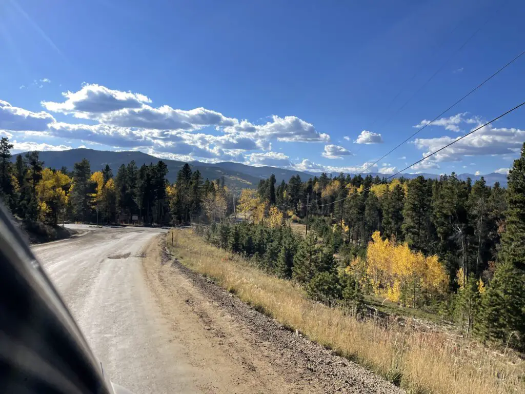 A gravel, forest road surrounded by green pine and yellow aspen trees with dark, mountain silhouettes rising in the background