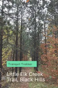 A hiking trail runs through a "tunnel" of pine tress mixed with other trees and their colorful, fall foilage. Pin reads, "Tranquil Trekker Little Elk Creek Crail, Black Hills"